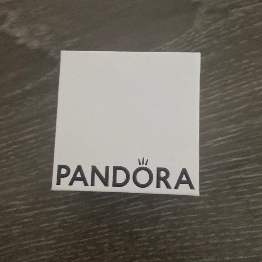 PANDORA Charm Box